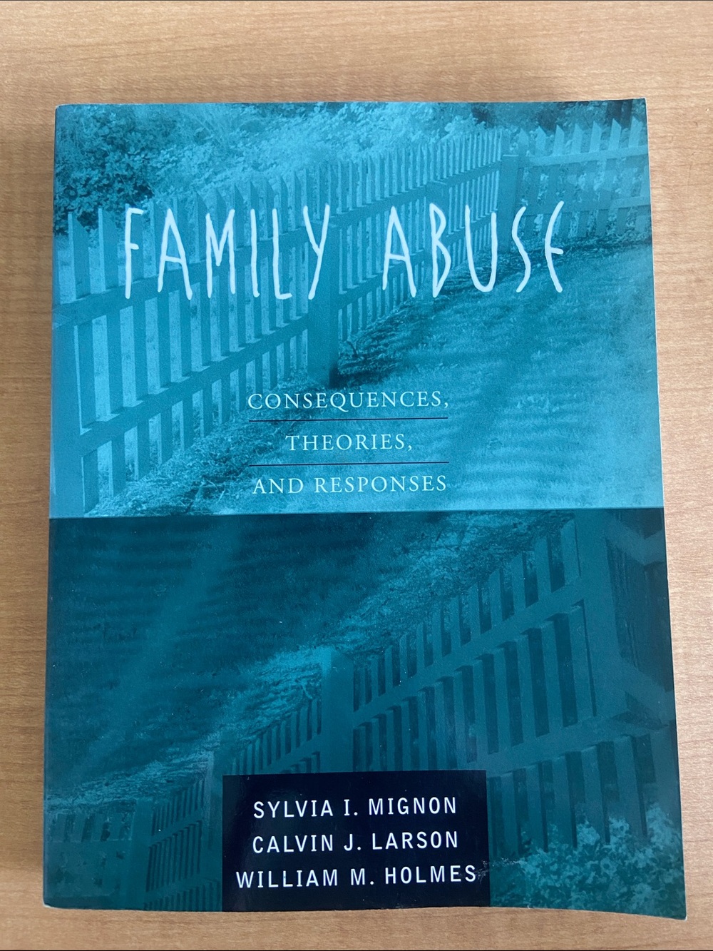 Family Abuse: Consequences, Theories, and Responses